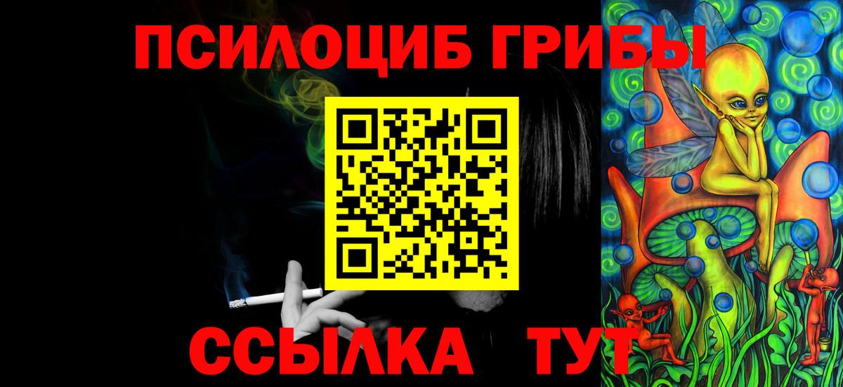 Псилоцибиновые грибы Psilocybine cubensis Новокузнецк