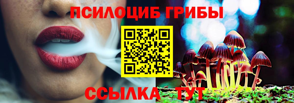 Псилоцибиновые грибы Psilocybine cubensis  Вход с VPN  Новокузнецк 